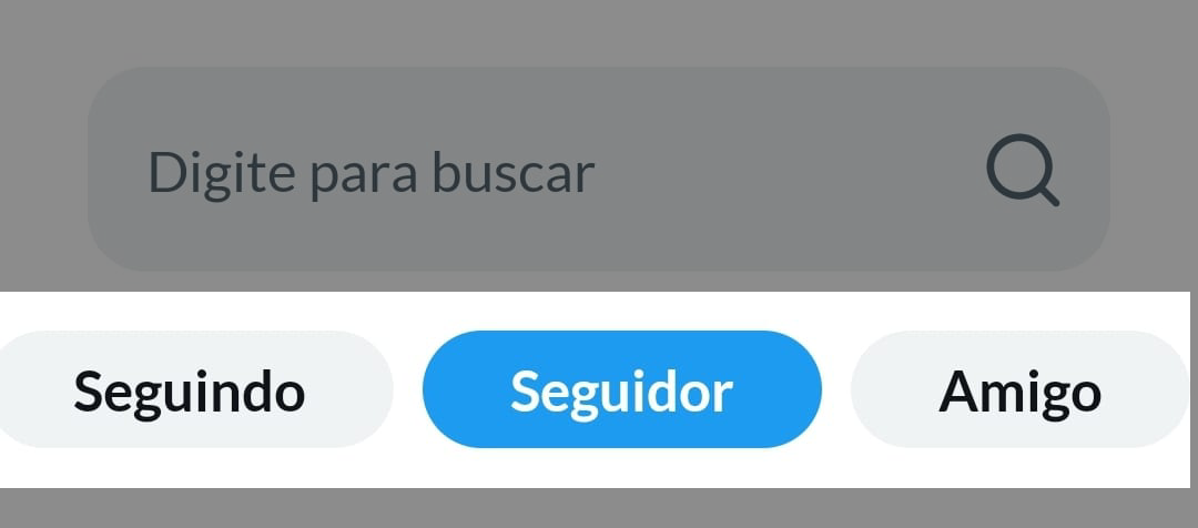 Seguindo, seguidor e amigo_app.png