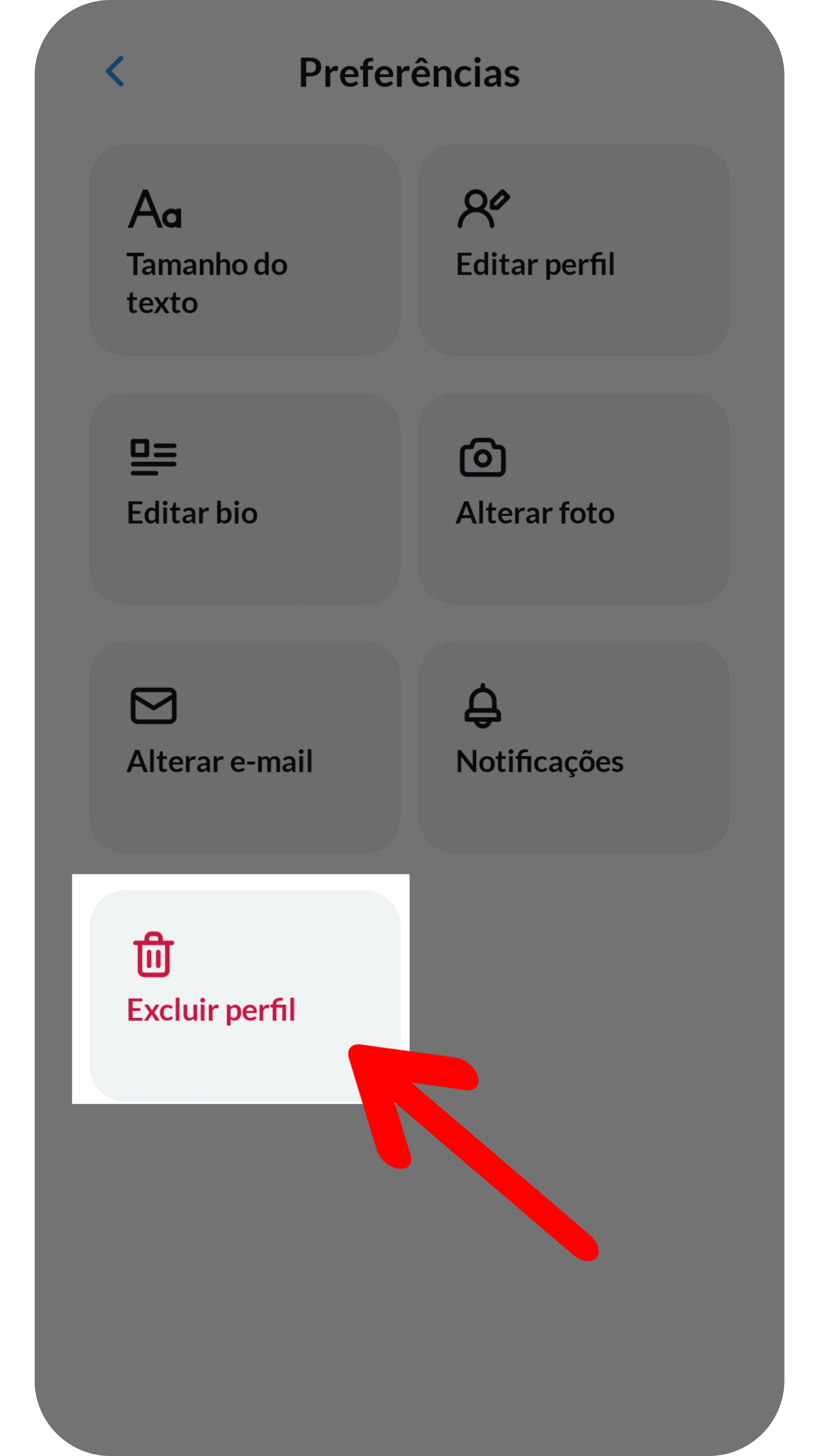 Excluir cadastros 2_app.png