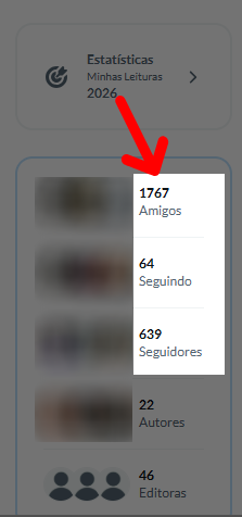 Seguindo, seguidores, amigos 2_web.png